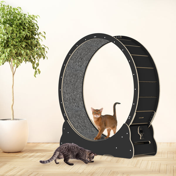 35.4'' Cat Exercise Wheel , with 2 Anti-Scratch Pads, Solid Wood Cat Wheel Exerciser for Indoor Cats for Walking, Running, Training