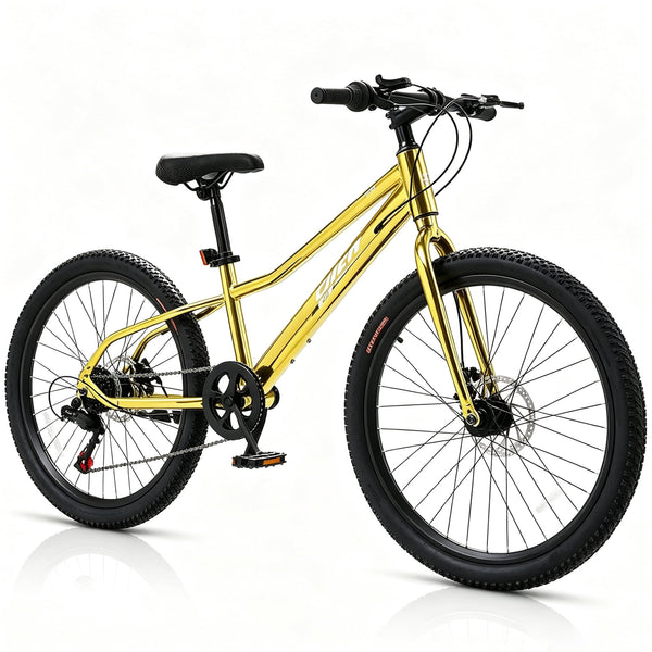 Akaber Kids Bike for Boys 6-11, 20 Inch Mountain Bike for Kids with High Carbon Steel, Dual Disc Brakes and Kickstand