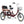 Linor Adult Tricycle with Rear Seats, 20