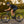 Akaber Road Bike, 700C Hybrid Bike for Men & Women, Adult Bike with 21-Speed Shimano Drivetrain, Lightweight Aluminum Frame, Commuter Bicycle