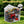 6x4 FT Resin Outdoor Storage Shed with Floor, Heavy Duty Plastic Tool Shed with Lockable Door & Air Vent, All-Weather Garden Storage for Backyard, Patio, Lawn, Cloud Gray