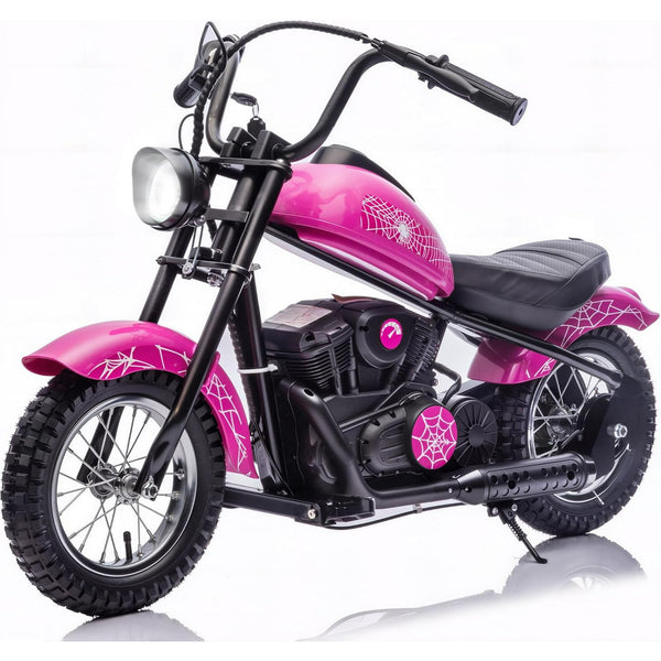 Akaber 24V Electric Dirt Bike for Kids, Motor Kids Dirt Bike, 250W Ride On Motorcycle up to 15 mph, Power Display, Rear Suspension, Hand Brake