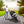Lightweight Baby Stroller, Gravity Automatic One-Hand Fold Travel Stroller for Baby and Toddlers 0-3, Ultra Compact Stroller for Airplane with Adjustable Backrest, Canopy and Footrest