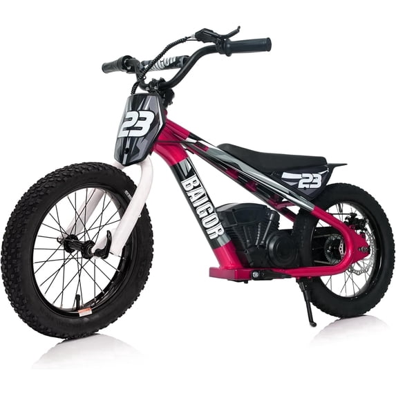 NEORIVERE lectric Dirt Bike for Kids Ages 6-12, 250W Electric Motorcycle Up to 15.5MPH, 24V Detachable Battery, 16'' Inflatable Tire Electric Balance Bike with Kickstand