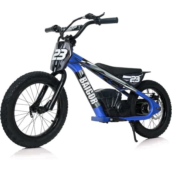 NEORIVERE lectric Dirt Bike for Kids Ages 6-12, 250W Electric Motorcycle Up to 15.5MPH, 24V Detachable Battery, 16'' Inflatable Tire Electric Balance Bike with Kickstand