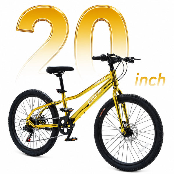 ICEELF 20 inch Kids Mountain Bike, 7-Speed Bicycle for Boys & Girls Ages 6-11, Carbon Steel Frame, Dual Disc Brakes, Multi Color