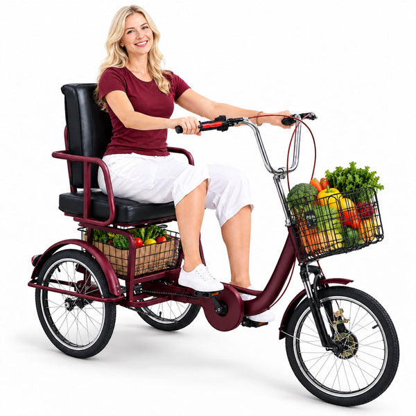Linor 18 Inch Adult Tricycle, 3-Wheel Bike with Adjustable Padded Seat & Backrest, Front & Rear Baskets, Low Step-Through Frame, Dual Brakes