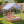 Sandbox with Lid and Cover, 49